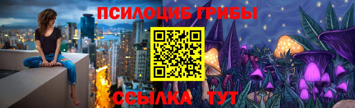 Галлюциногенные грибы MAGIC MUSHROOMS  Вход с VPN  Галлюциногенные грибы Psilocybine cubensis  Тайшет 